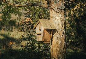 houten vogelhuisje aan een boom