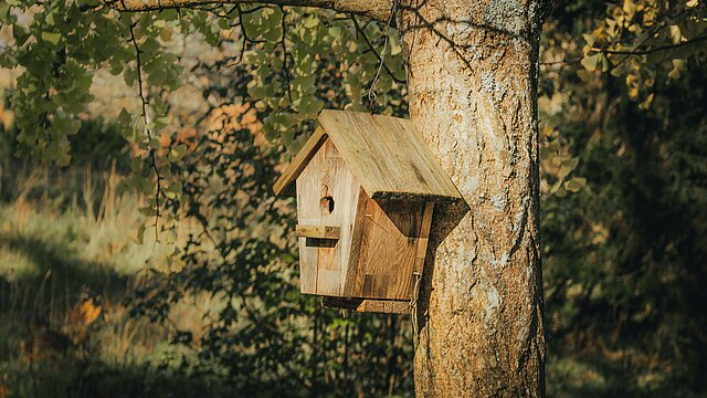 houten vogelhuisje aan een boom