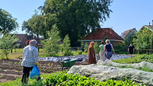 drie mensen lopen door de sociale moestuin